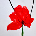 Mohnblüte (handgezeichnet)
