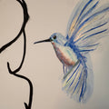 Kolibri (handgezeichnet)
